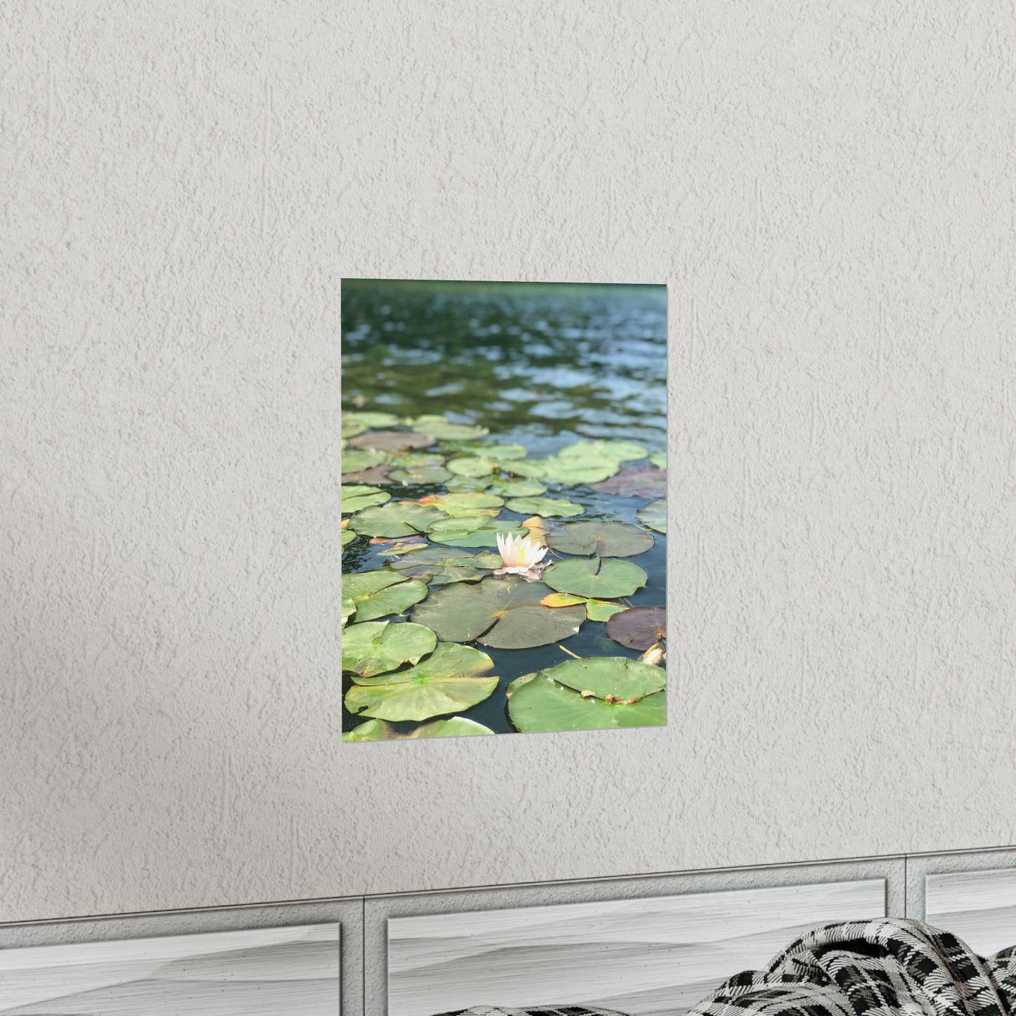Lone Lilly Premium Matte Poster, Nature Photography