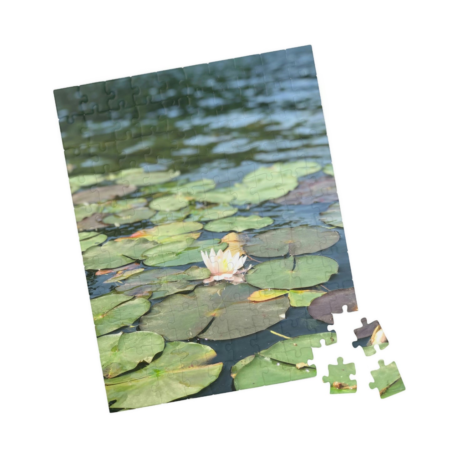 Lilly Pad Puzzle