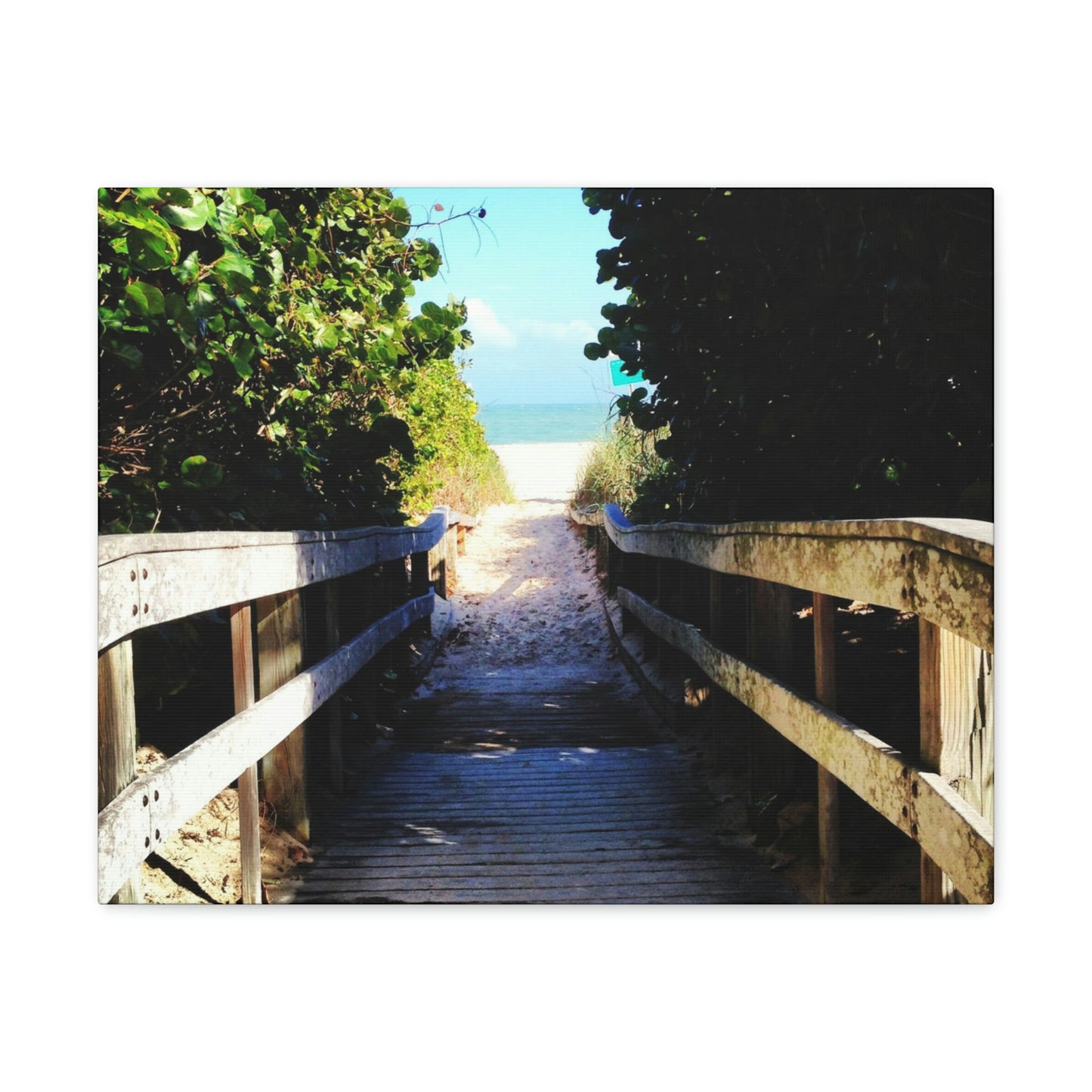 Walk to the Beach Nature Photography Canvas