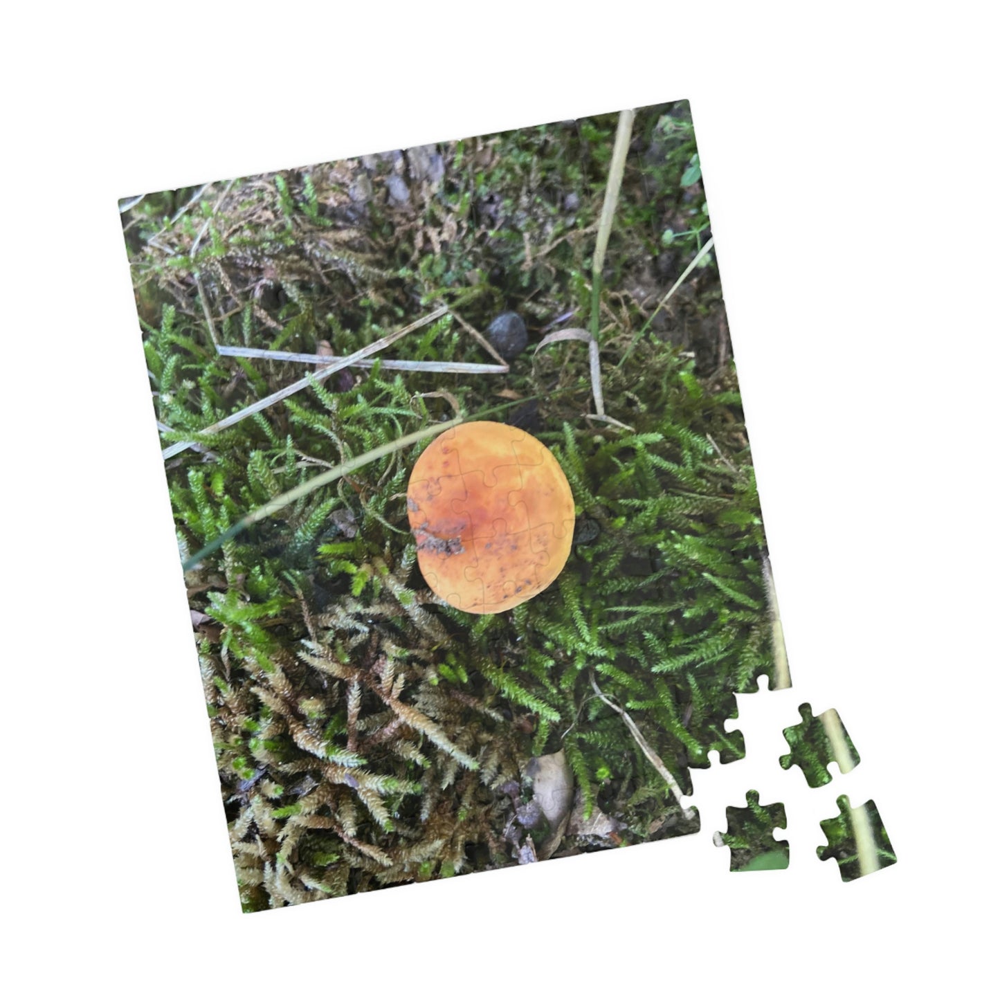 On My Own Puzzle; Mushroom Puzzle