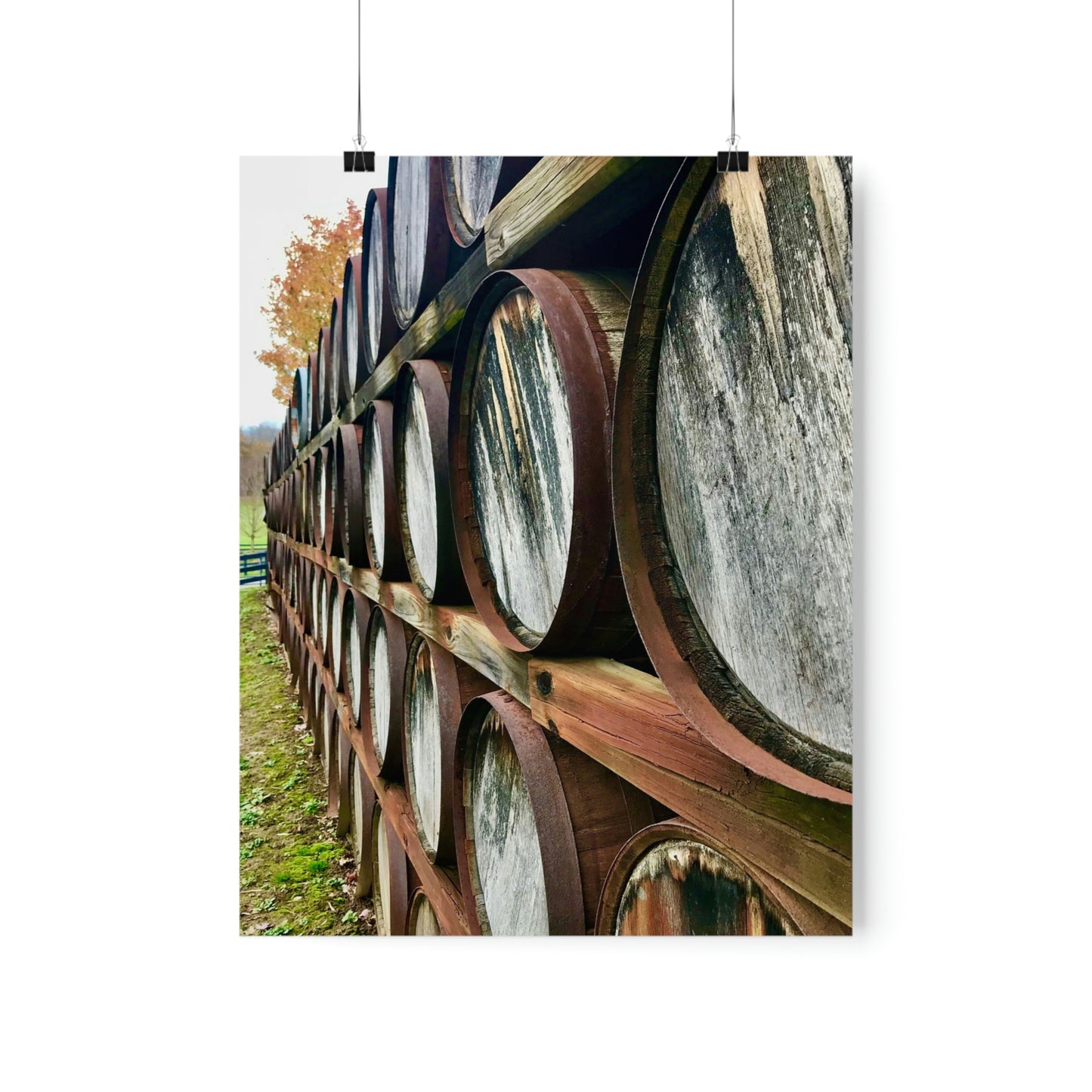 Wine Barrels Premium Matte Poster; Photography Print Poster