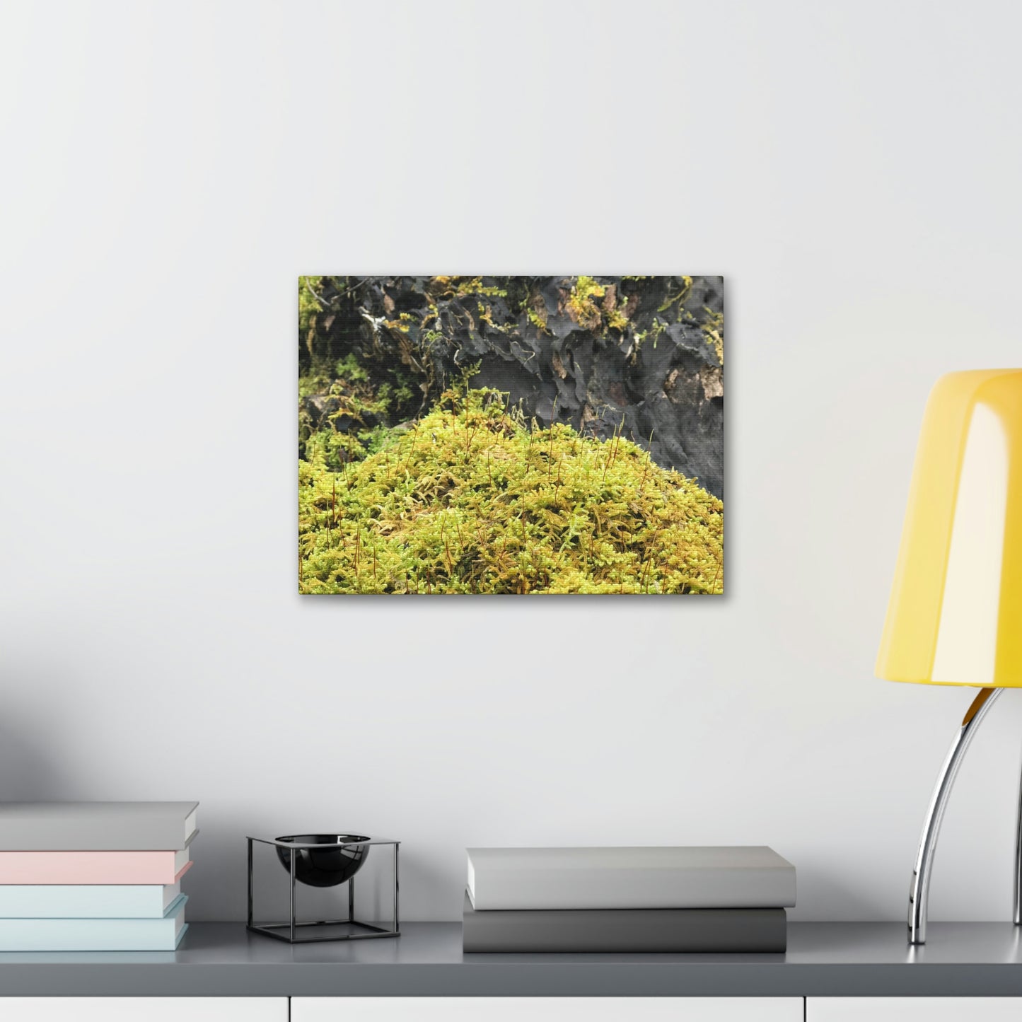 Little Life Nature Photography Canvas