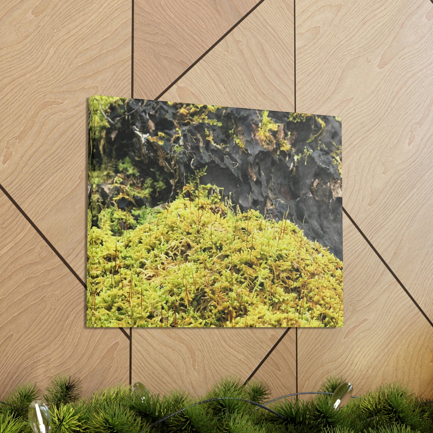 Little Life Nature Photography Canvas