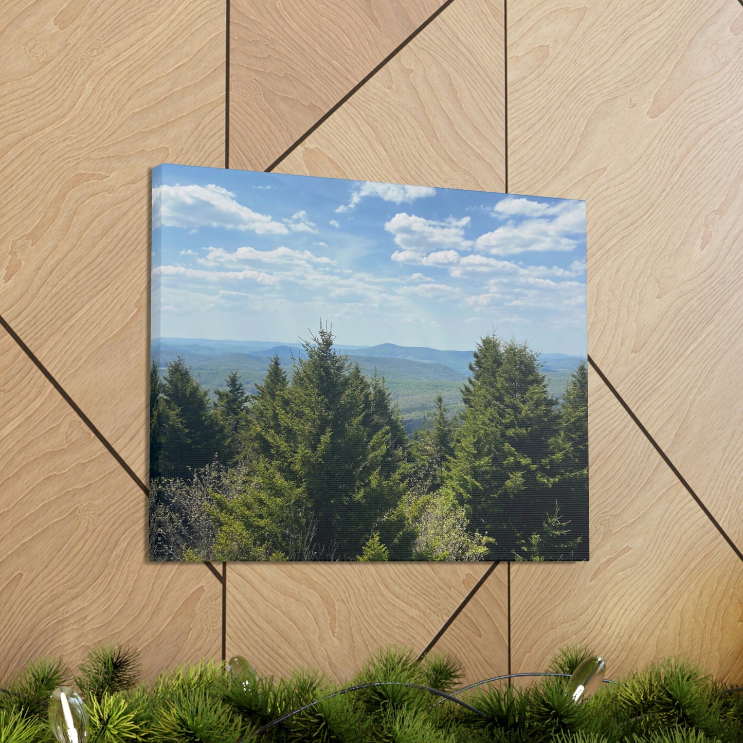 Mountain View Canvas; Nature Photography Canvas