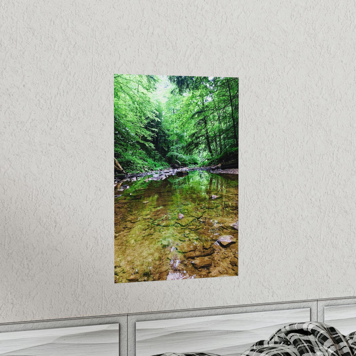 Forest Creek Bed Premium Matte Poster; Nature Photography Poster