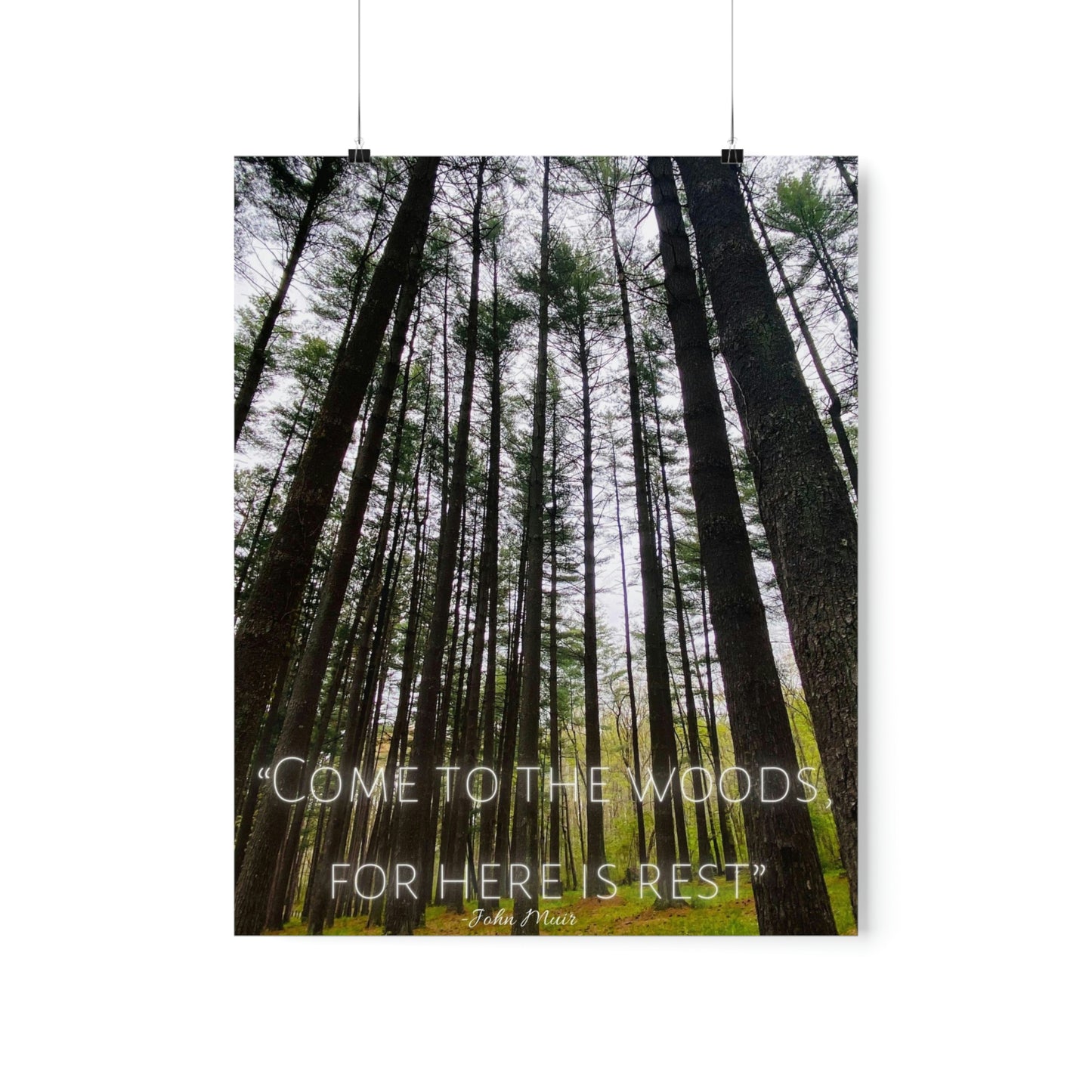 Come To The Woods, John Muir Quote Premium Poster