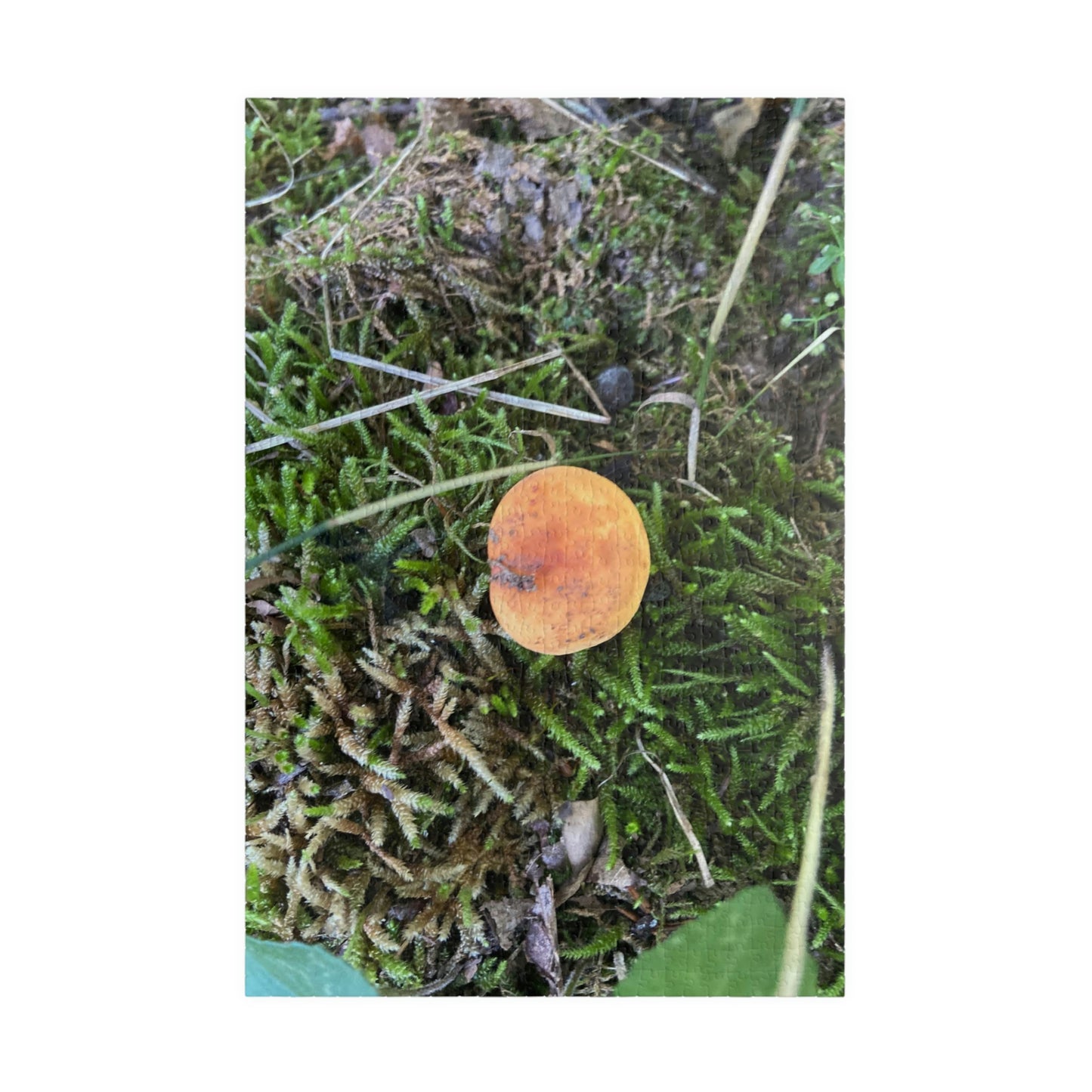 On My Own Puzzle; Mushroom Puzzle