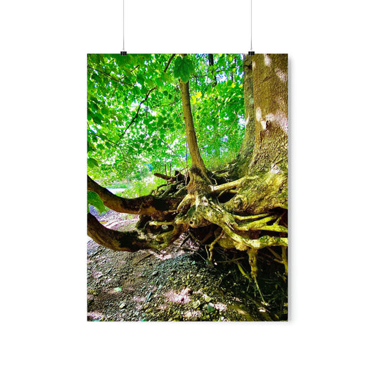 I Shall Grow Strong Premium Matte Poster, Nature Photography Poster