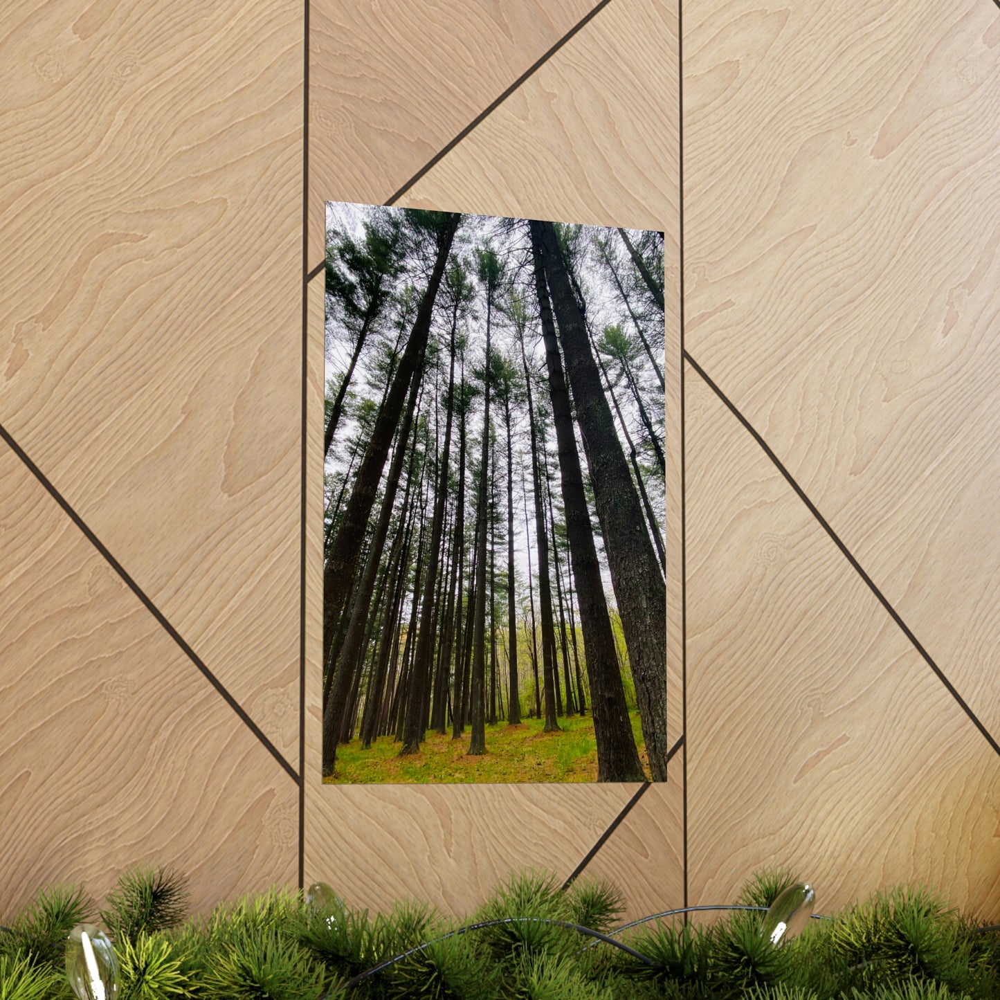 Lost in the Trees Premium Matte Poster, Nature Photography