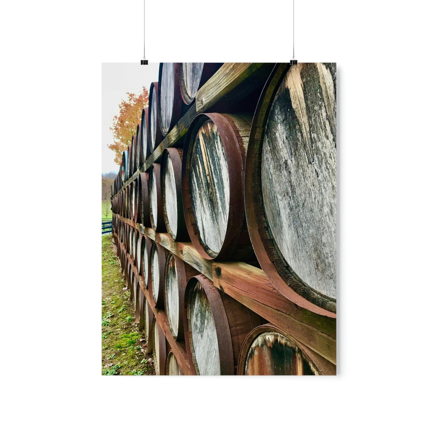 Wine Barrels Premium Matte Poster; Photography Print Poster