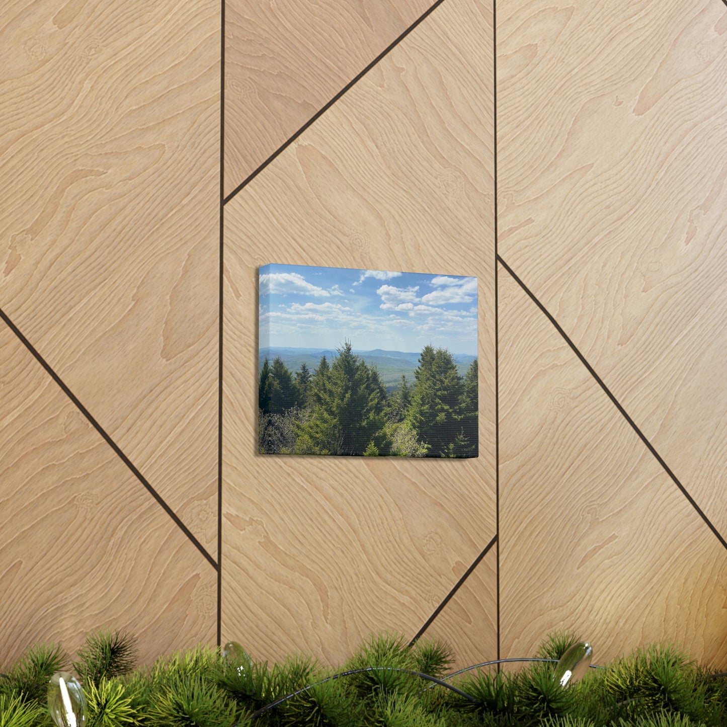 Mountain View Canvas; Nature Photography Canvas