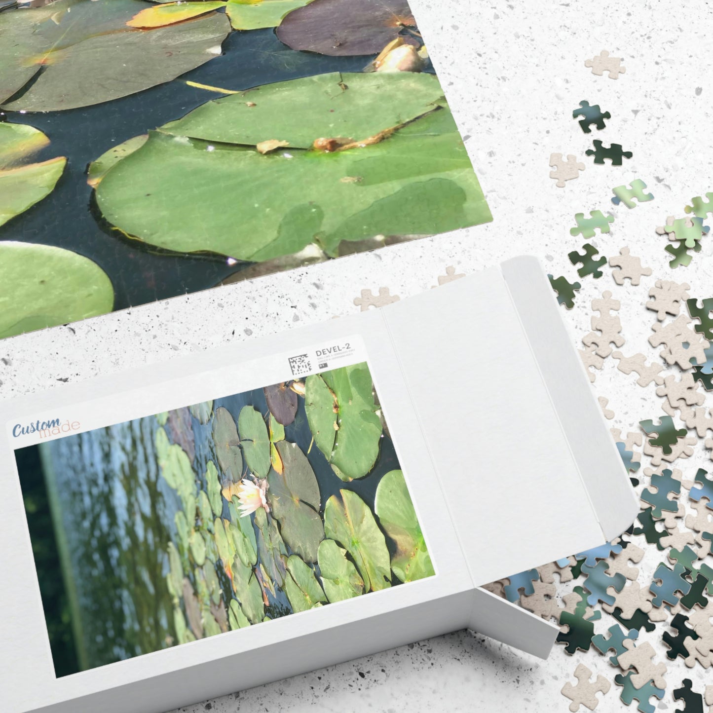 Lilly Pad Puzzle