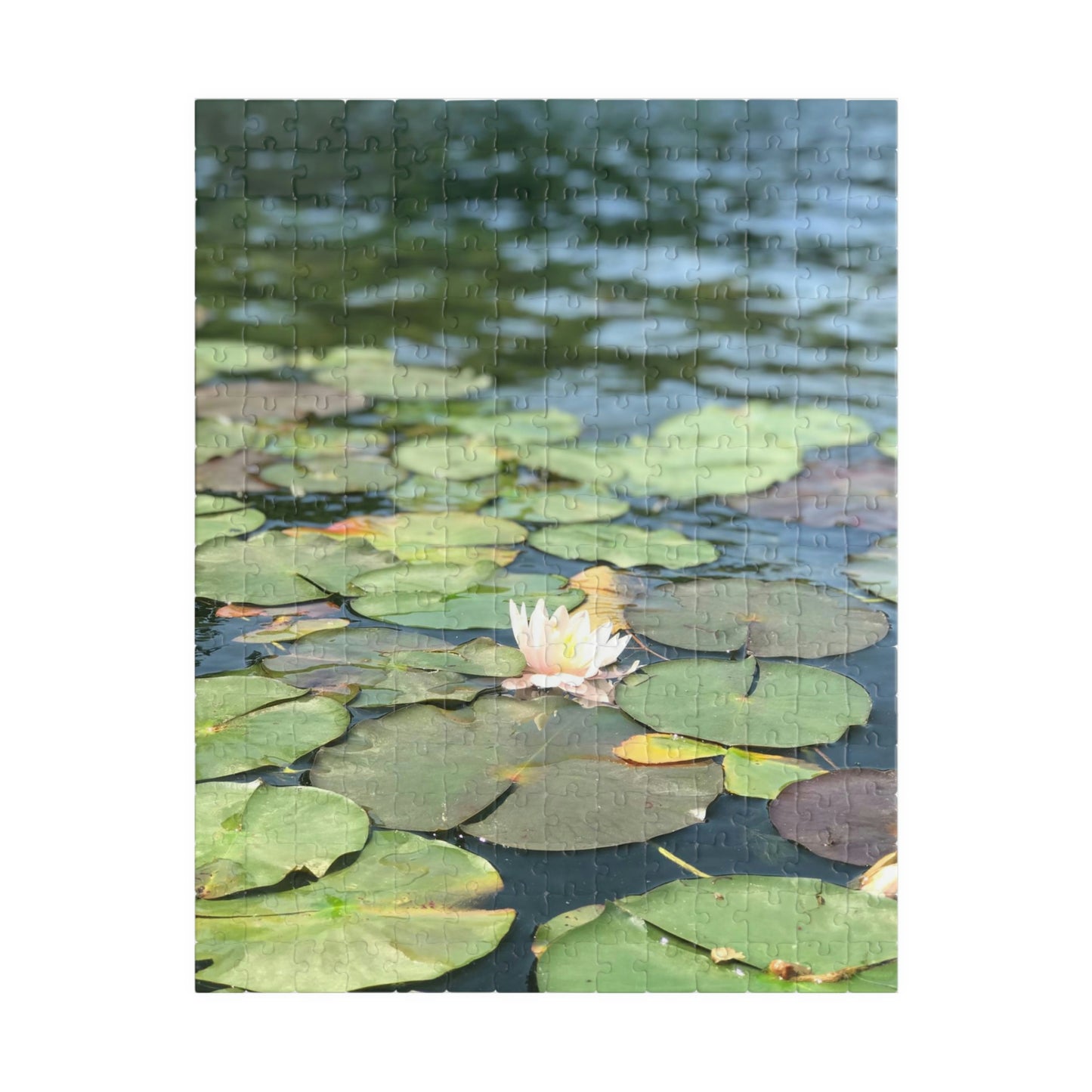 Lilly Pad Puzzle