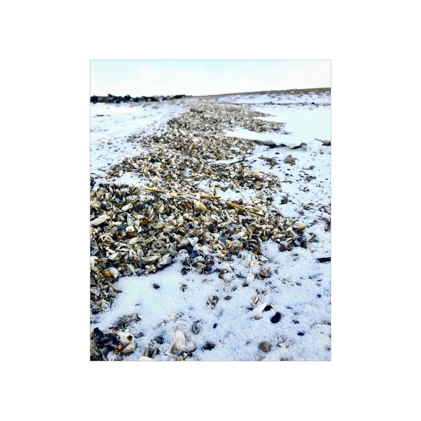 Snowy Shore Premium Matte Poster, Nature Photography Poster