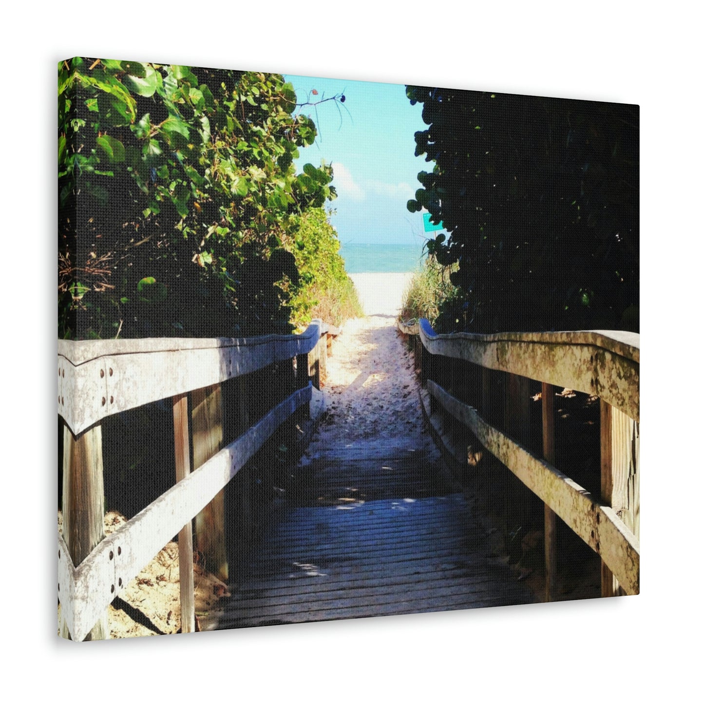 Walk to the Beach Nature Photography Canvas