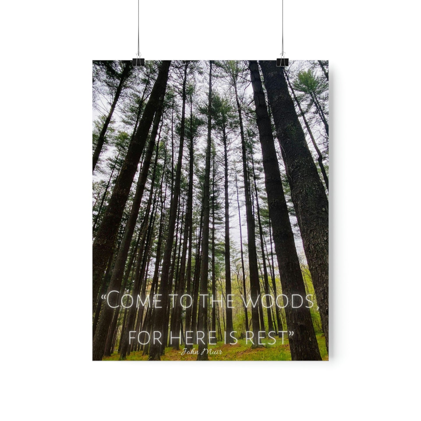 Come To The Woods, John Muir Quote Premium Poster