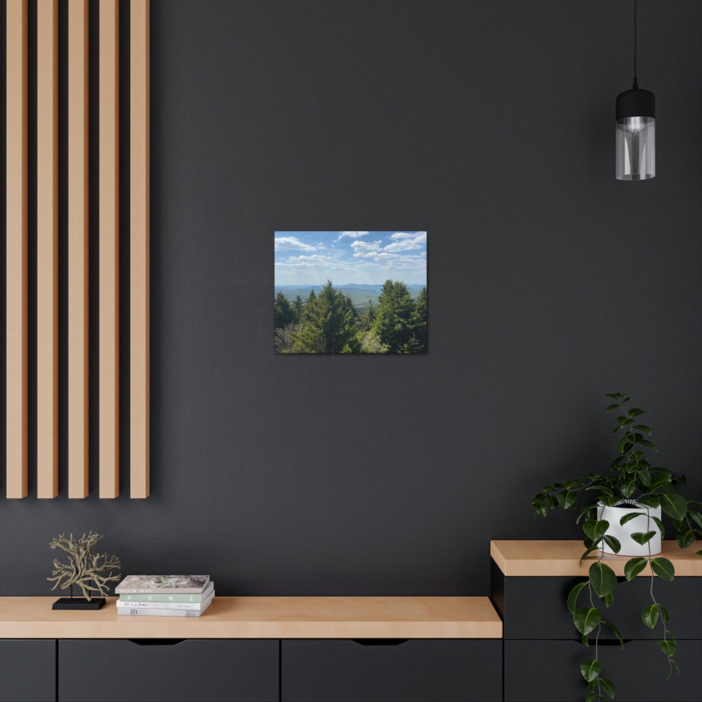 Mountain View Canvas; Nature Photography Canvas