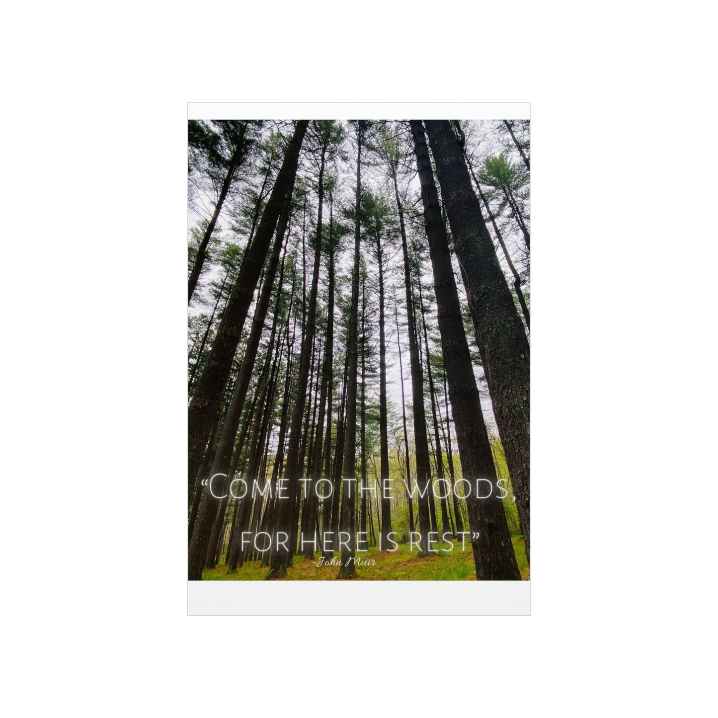 Come To The Woods, John Muir Quote Premium Poster