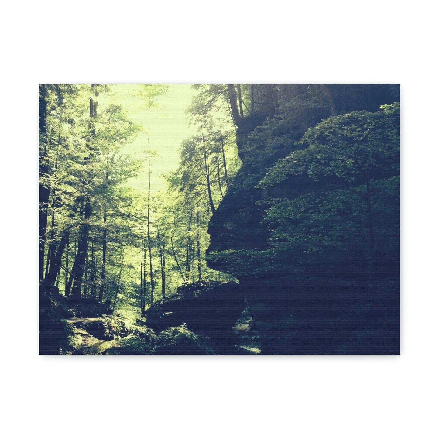 Breathe Canvas; Nature Photography Canvas; Hocking Hills Photography