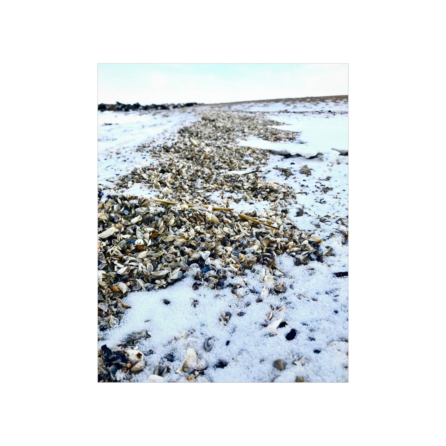 Snowy Shore Premium Matte Poster, Nature Photography Poster