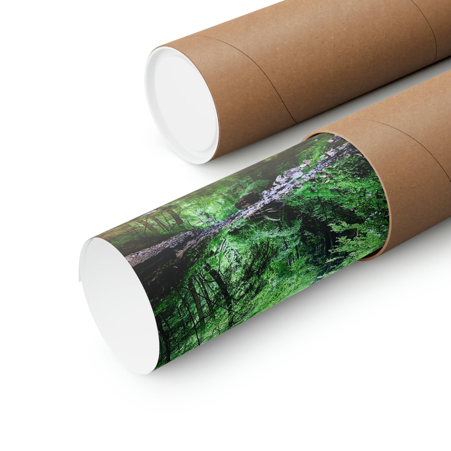 Forest Creek Bed Premium Matte Poster; Nature Photography Poster