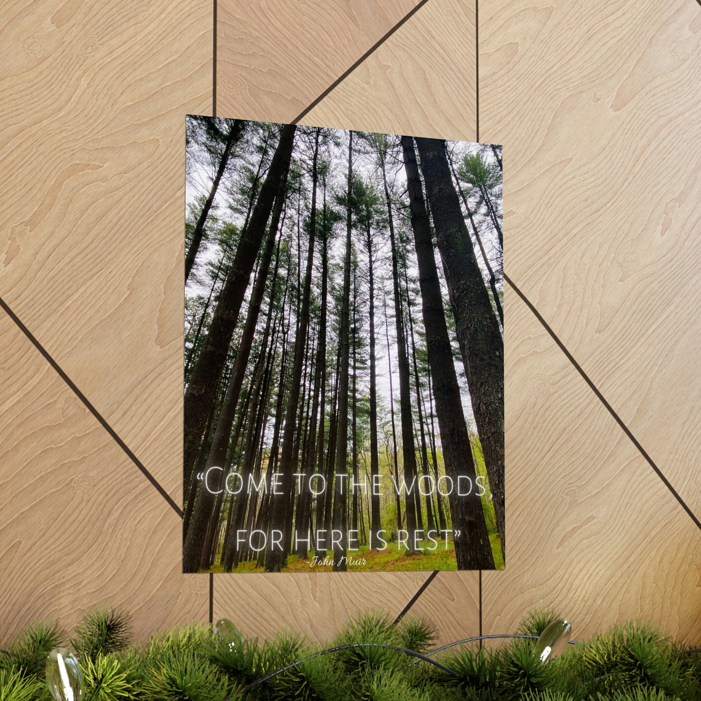 Come To The Woods, John Muir Quote Premium Poster