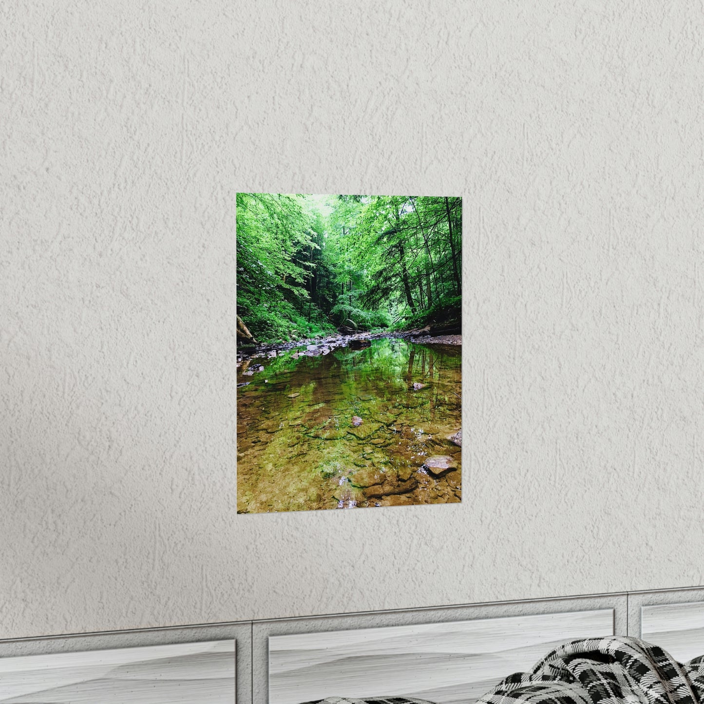 Forest Creek Bed Premium Matte Poster; Nature Photography Poster