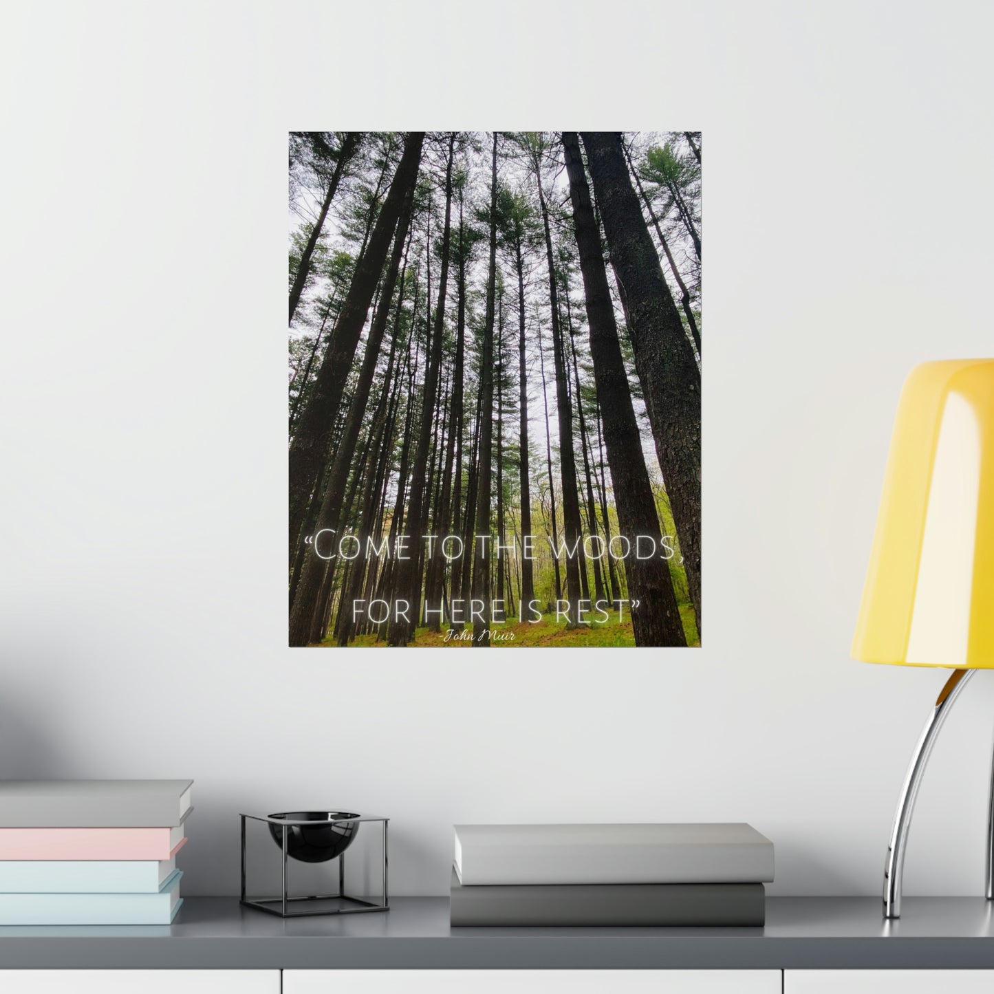 Come To The Woods, John Muir Quote Premium Poster