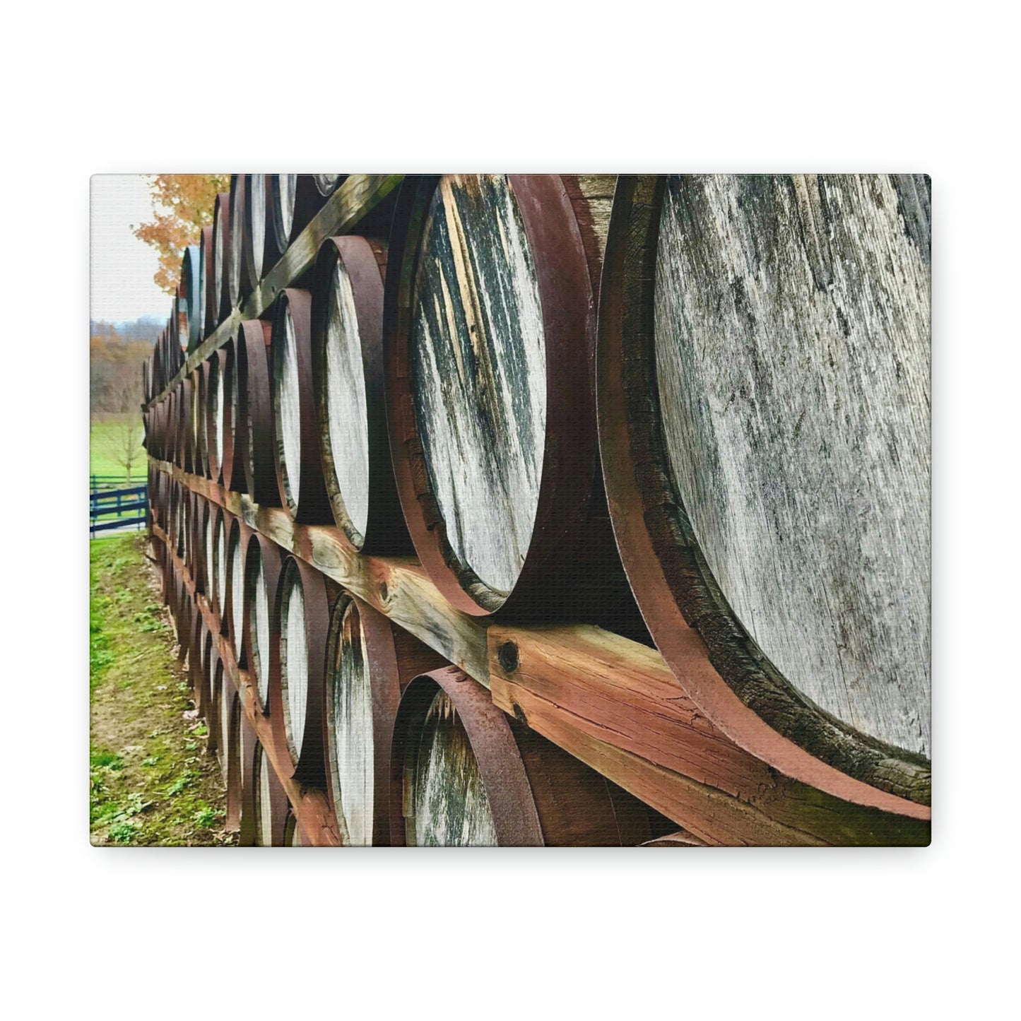 Wine Barrel Canvas; Photography Print Canvas