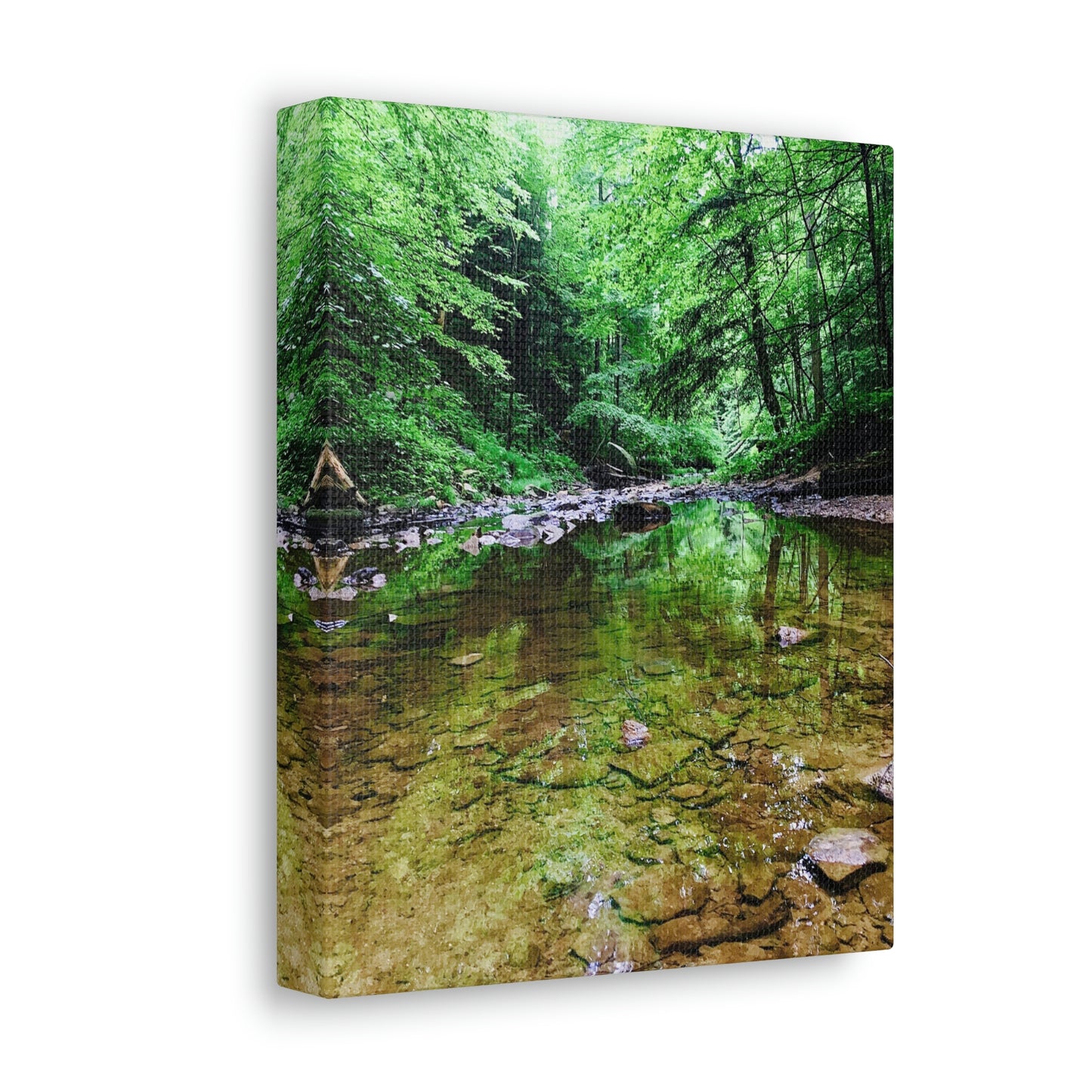 Forest Creek Bed, Nature Photography Canvas