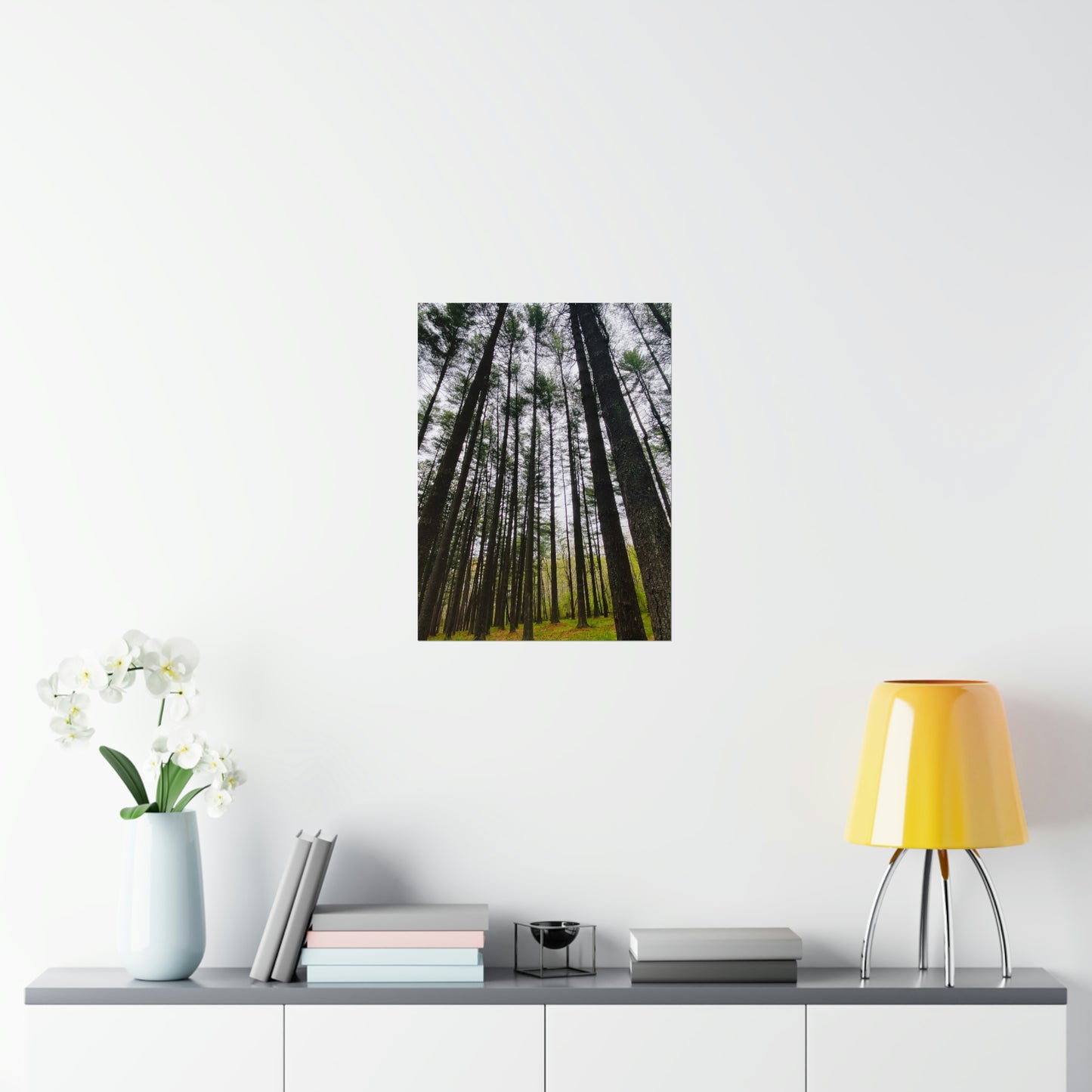 Lost in the Trees Premium Matte Poster, Nature Photography