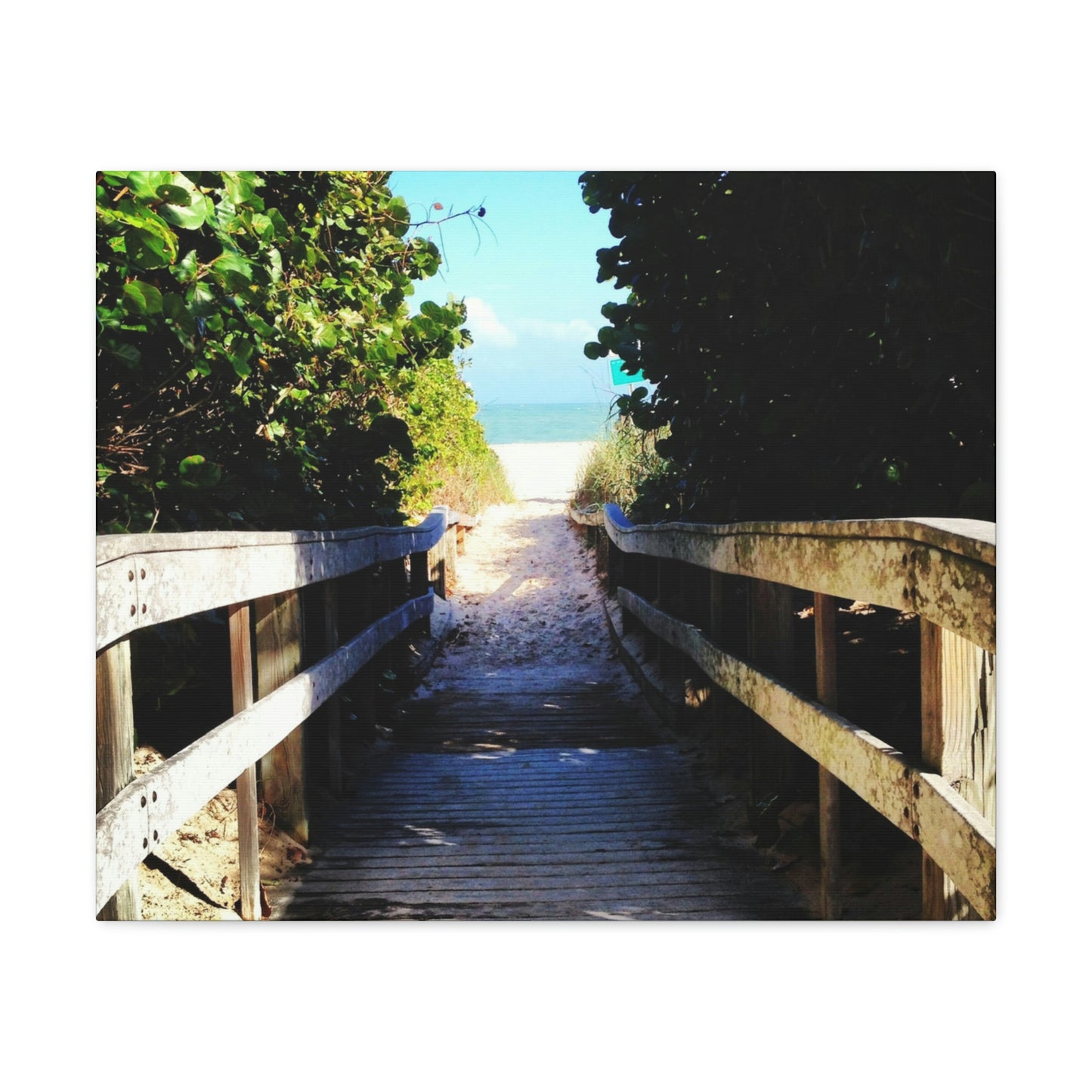 Walk to the Beach Nature Photography Canvas