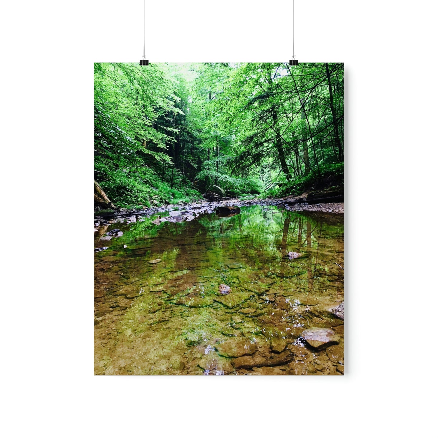 Forest Creek Bed Premium Matte Poster; Nature Photography Poster