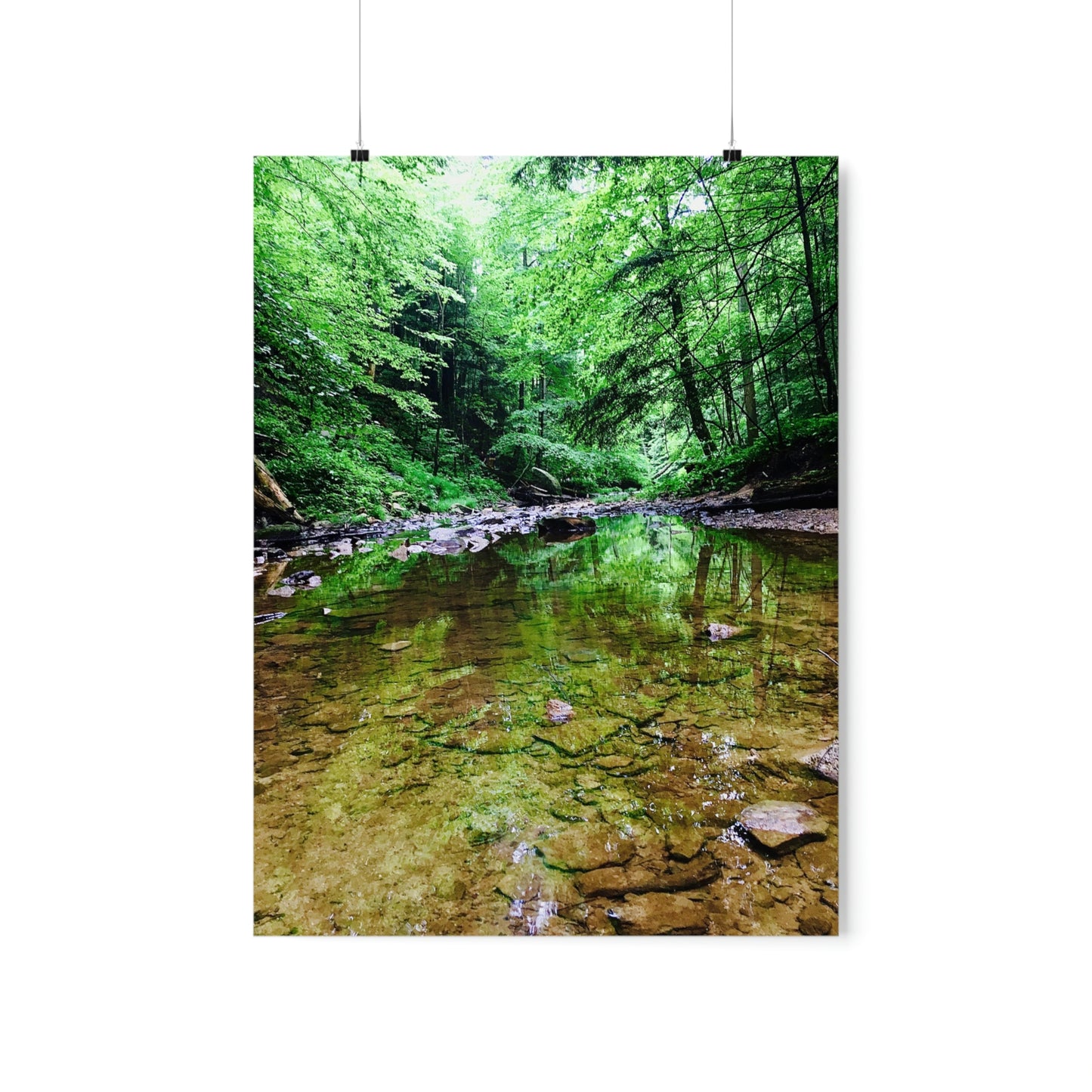 Forest Creek Bed Premium Matte Poster; Nature Photography Poster