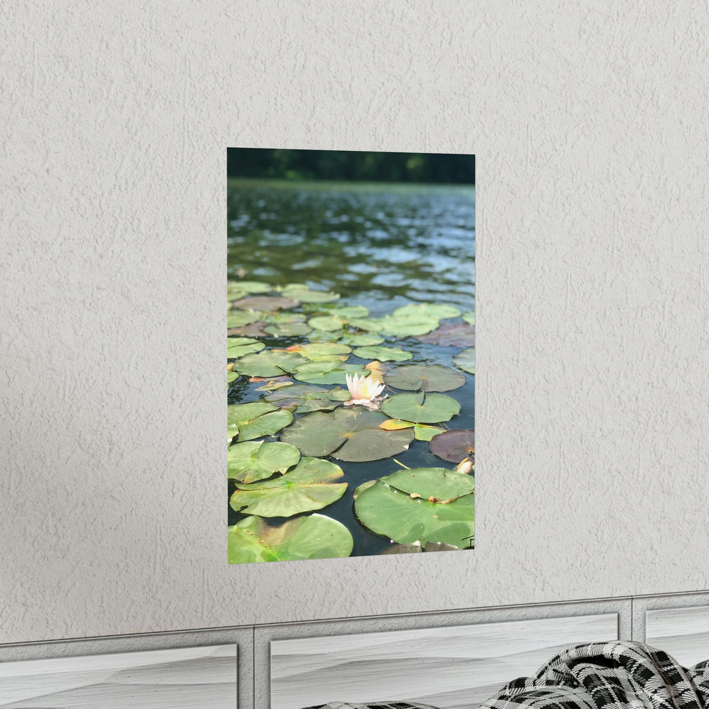 Lone Lilly Premium Matte Poster, Nature Photography