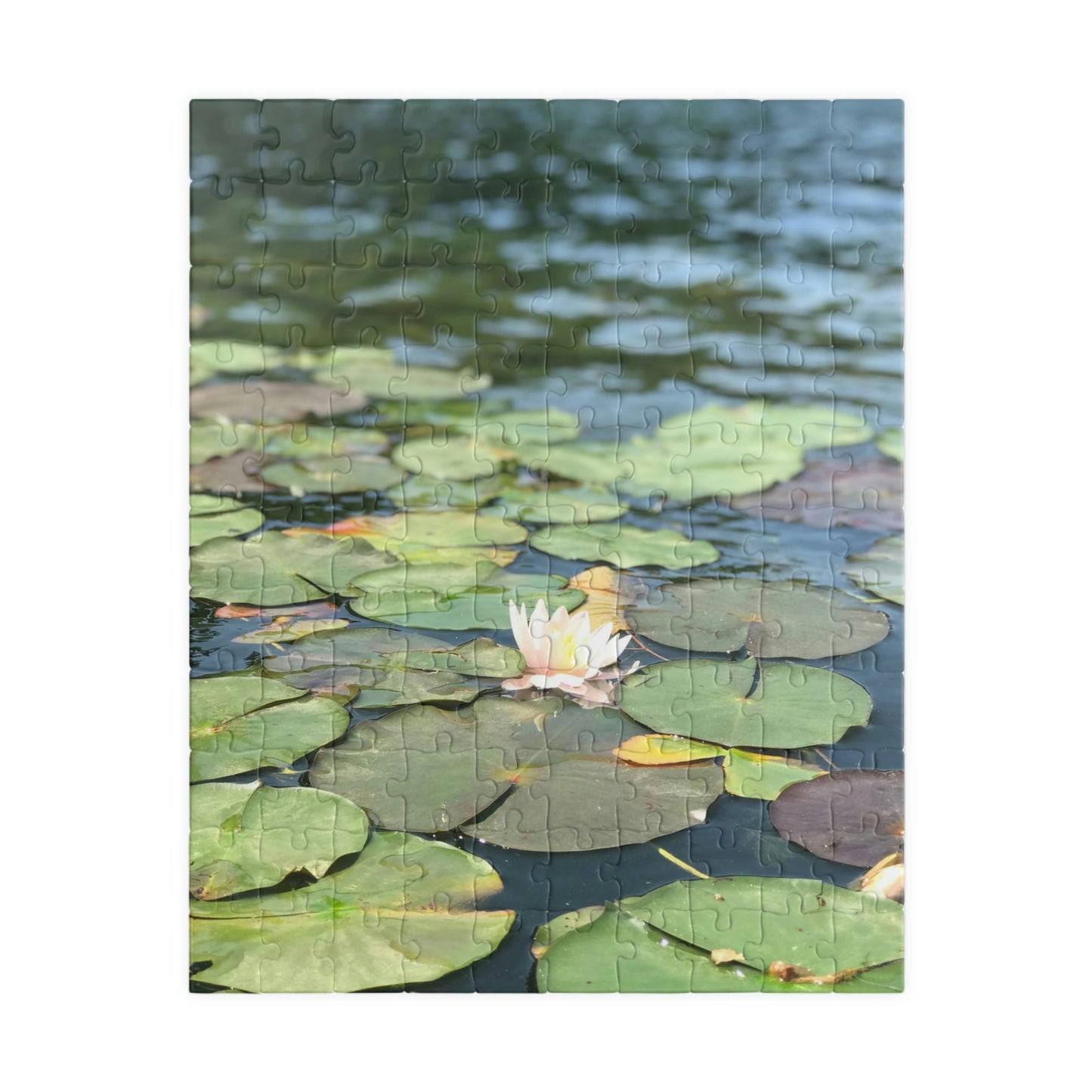 Lilly Pad Puzzle