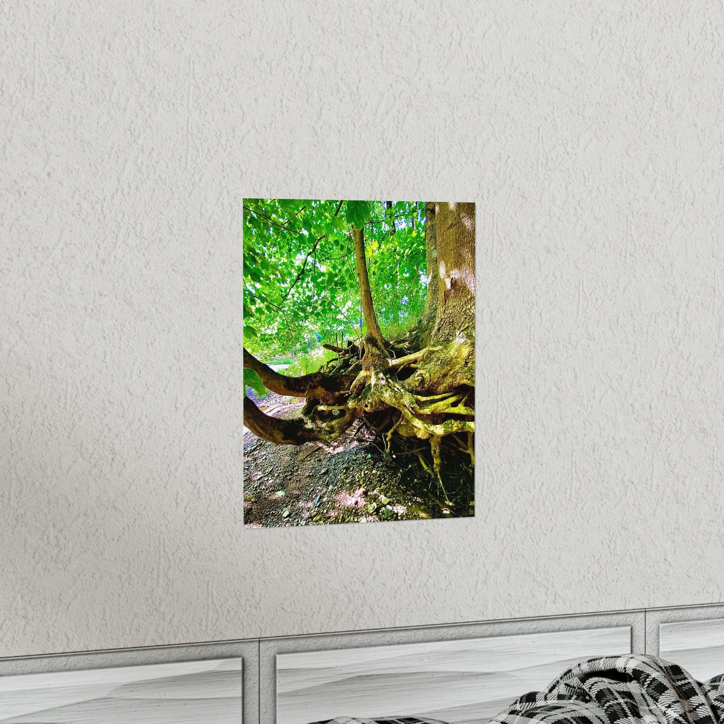 I Shall Grow Strong Premium Matte Poster, Nature Photography Poster