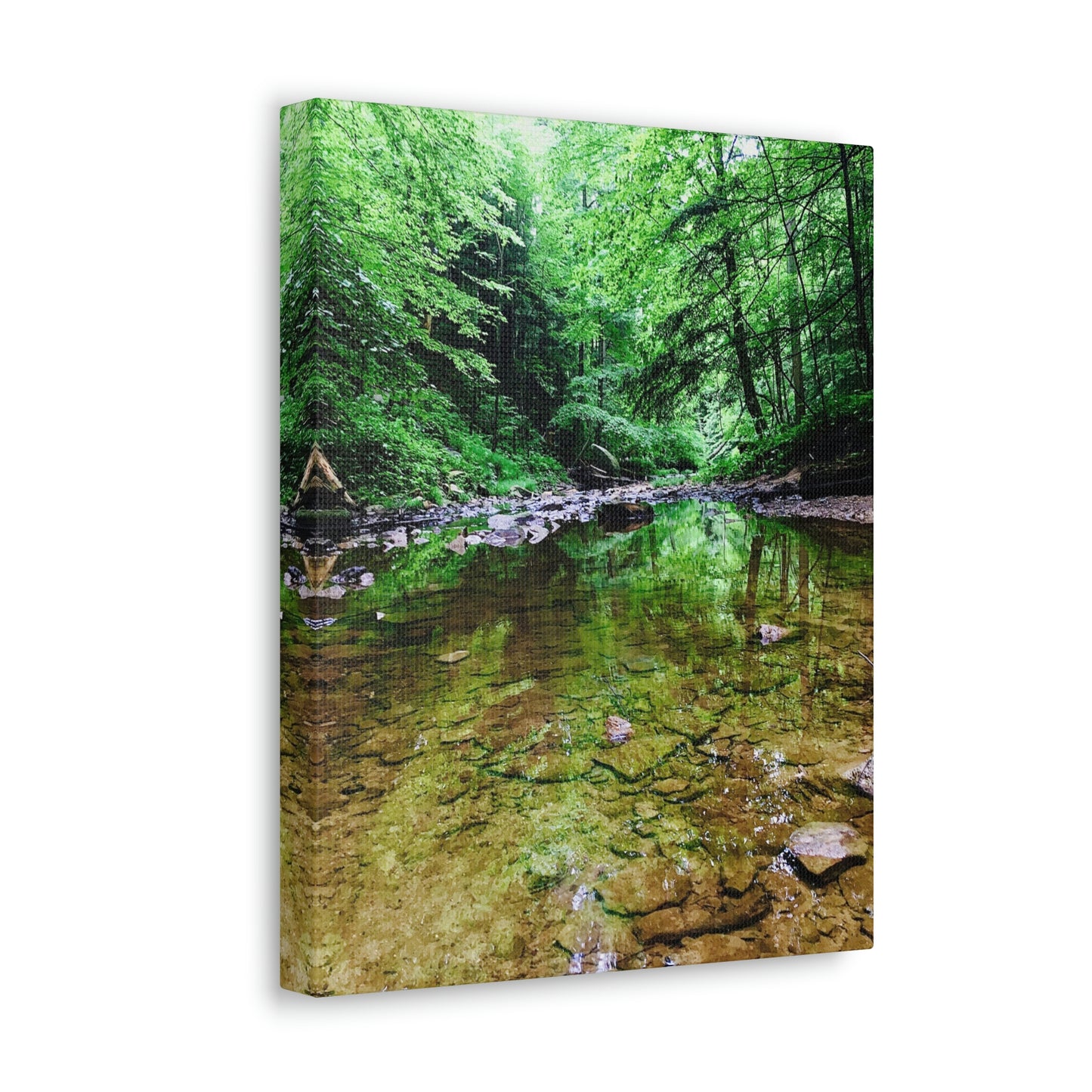 Forest Creek Bed, Nature Photography Canvas