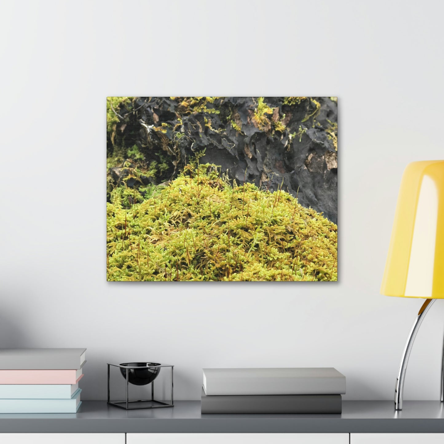 Little Life Nature Photography Canvas