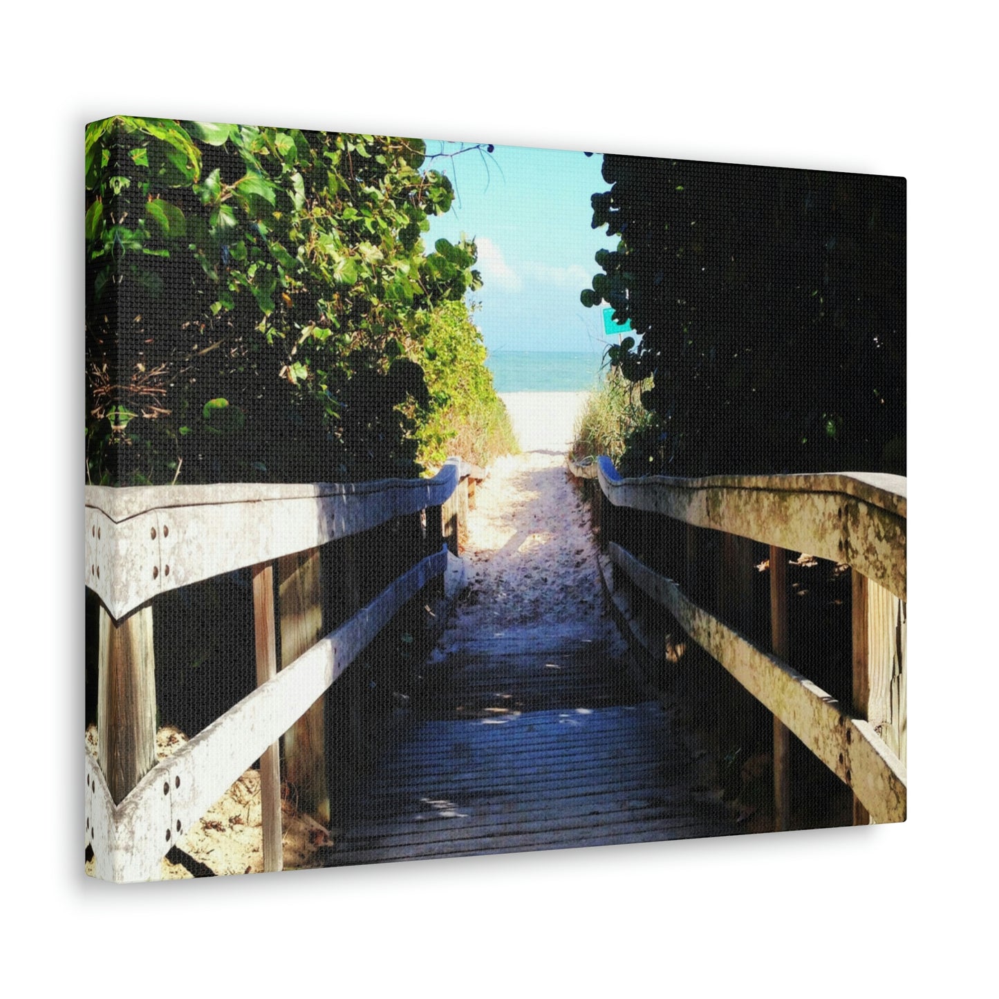 Walk to the Beach Nature Photography Canvas