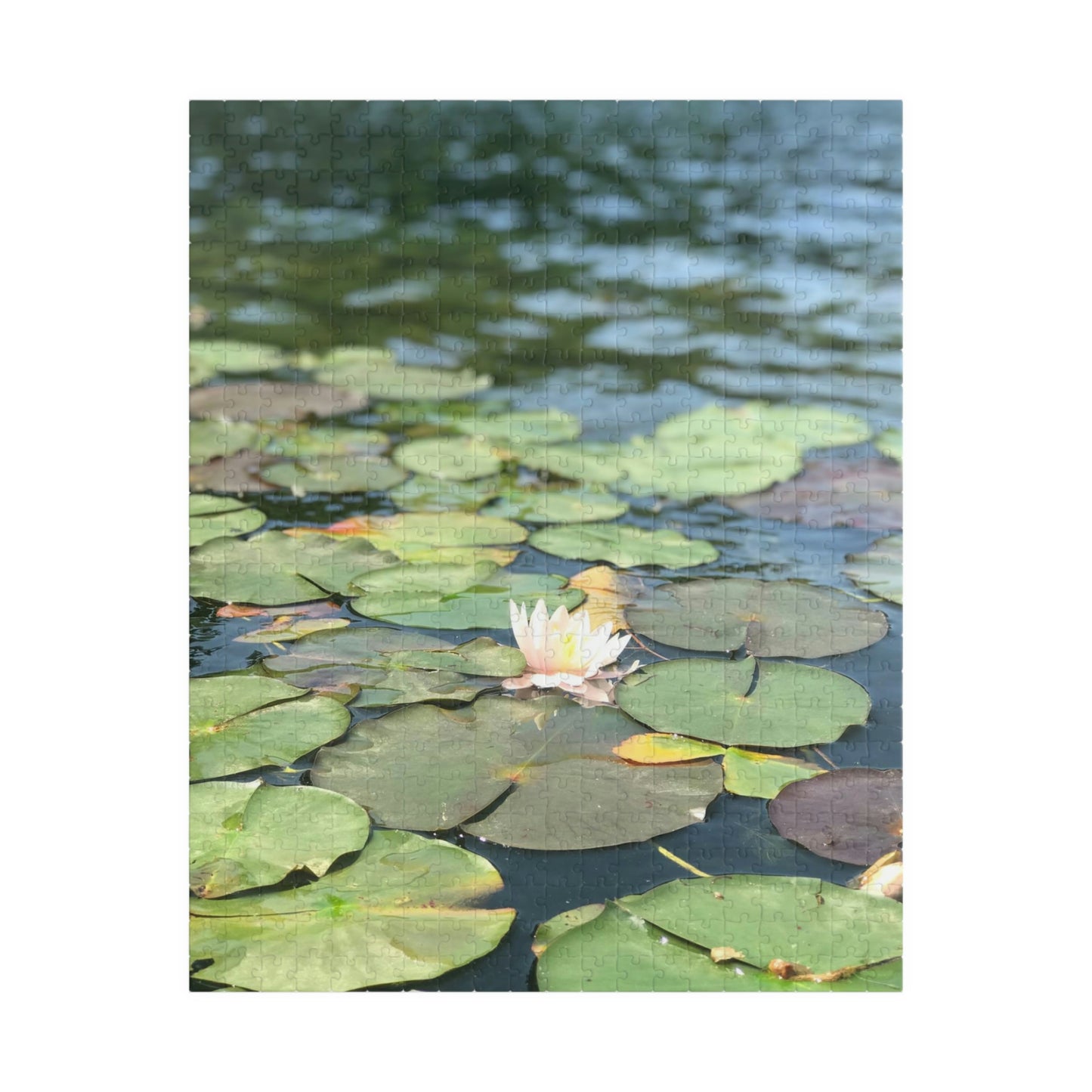 Lilly Pad Puzzle