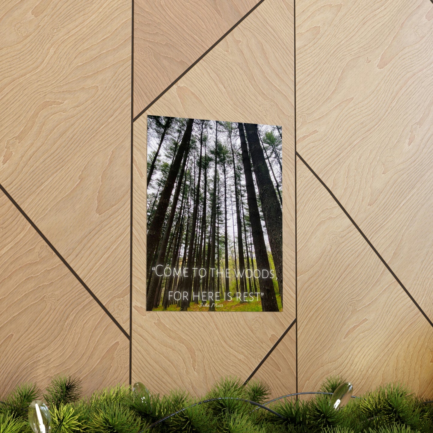 Come To The Woods, John Muir Quote Premium Poster