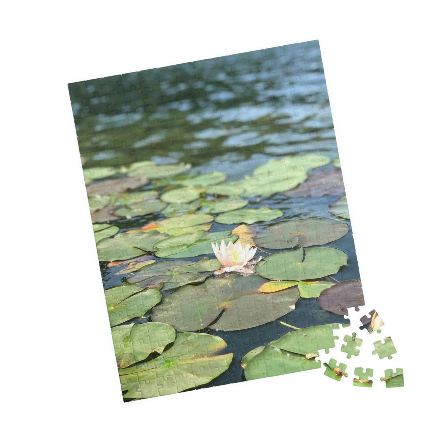 Lilly Pad Puzzle