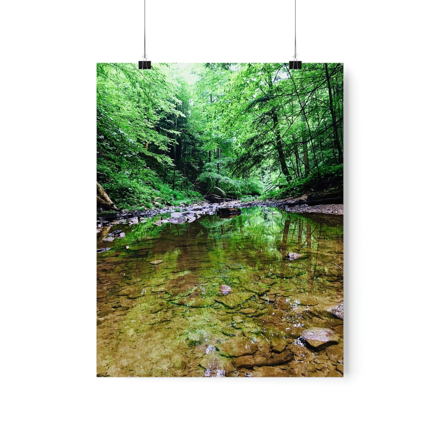 Forest Creek Bed Premium Matte Poster; Nature Photography Poster