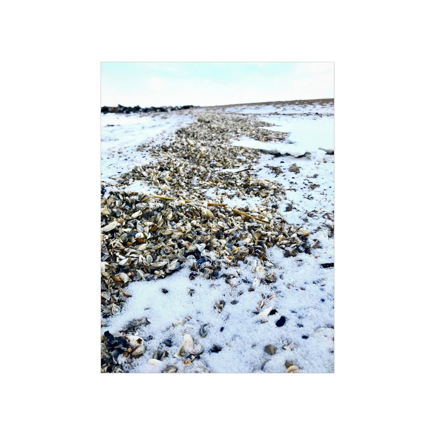 Snowy Shore Premium Matte Poster, Nature Photography Poster