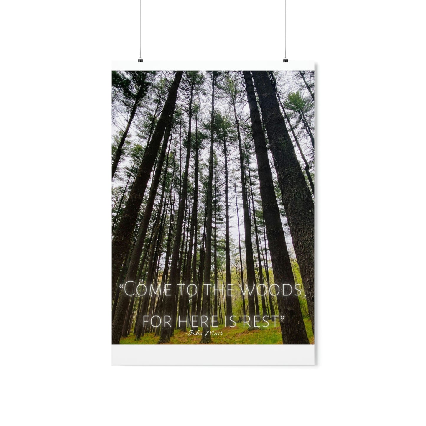 Come To The Woods, John Muir Quote Premium Poster