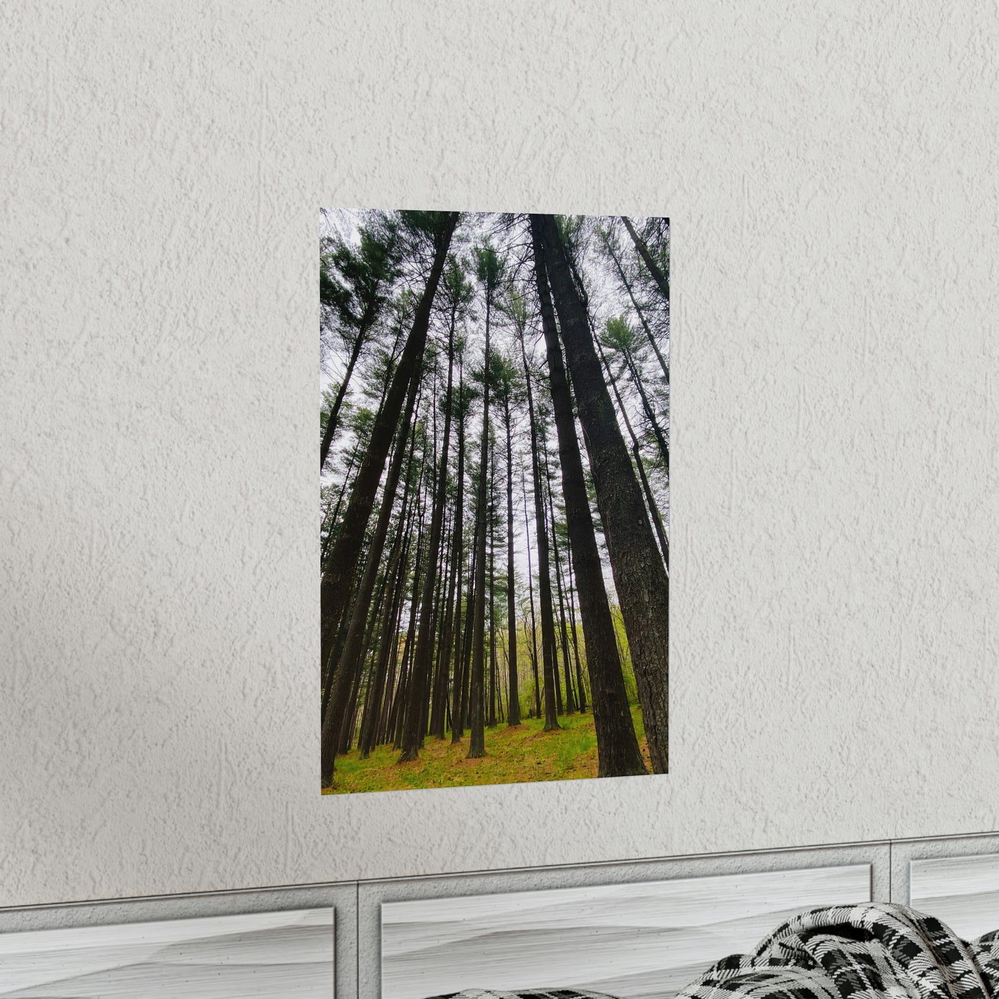 Lost in the Trees Premium Matte Poster, Nature Photography