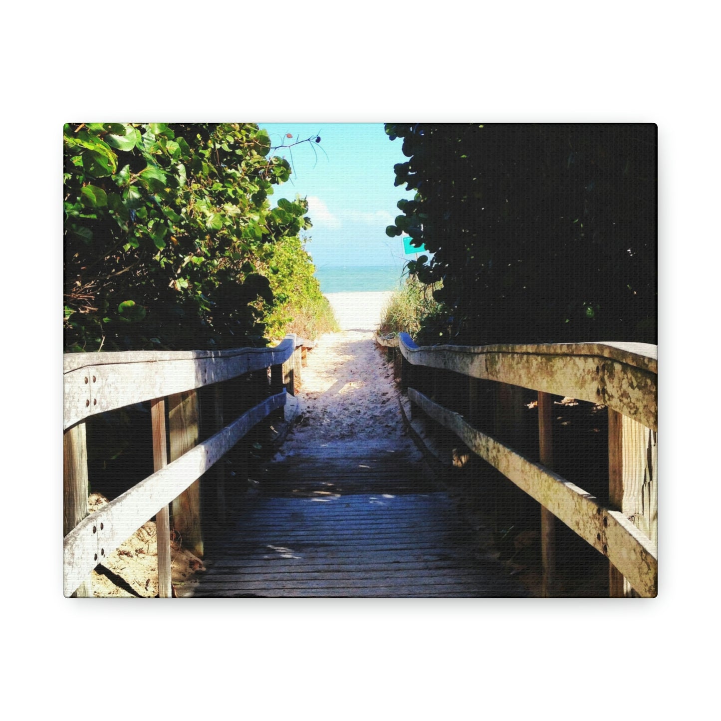 Walk to the Beach Nature Photography Canvas