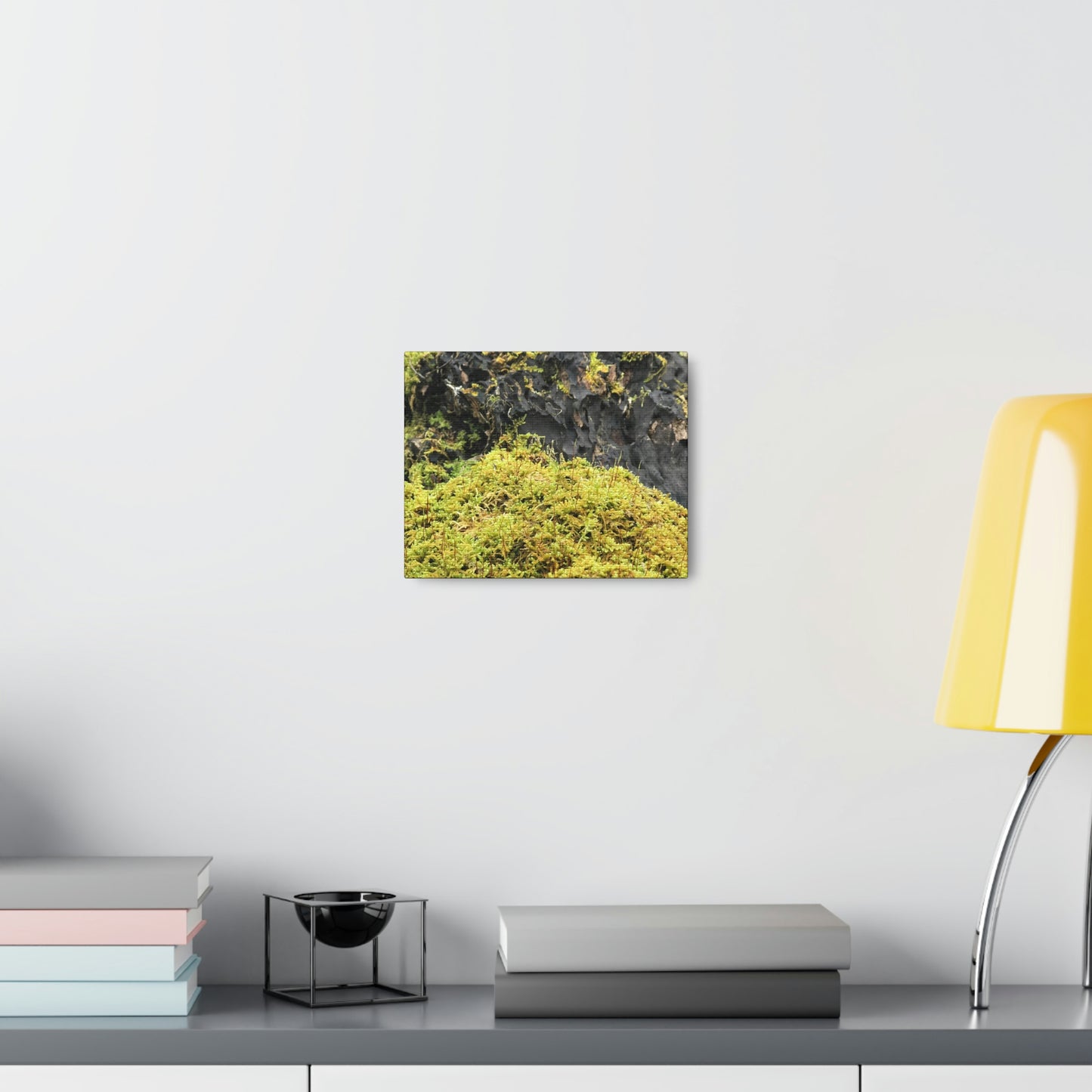 Little Life Nature Photography Canvas