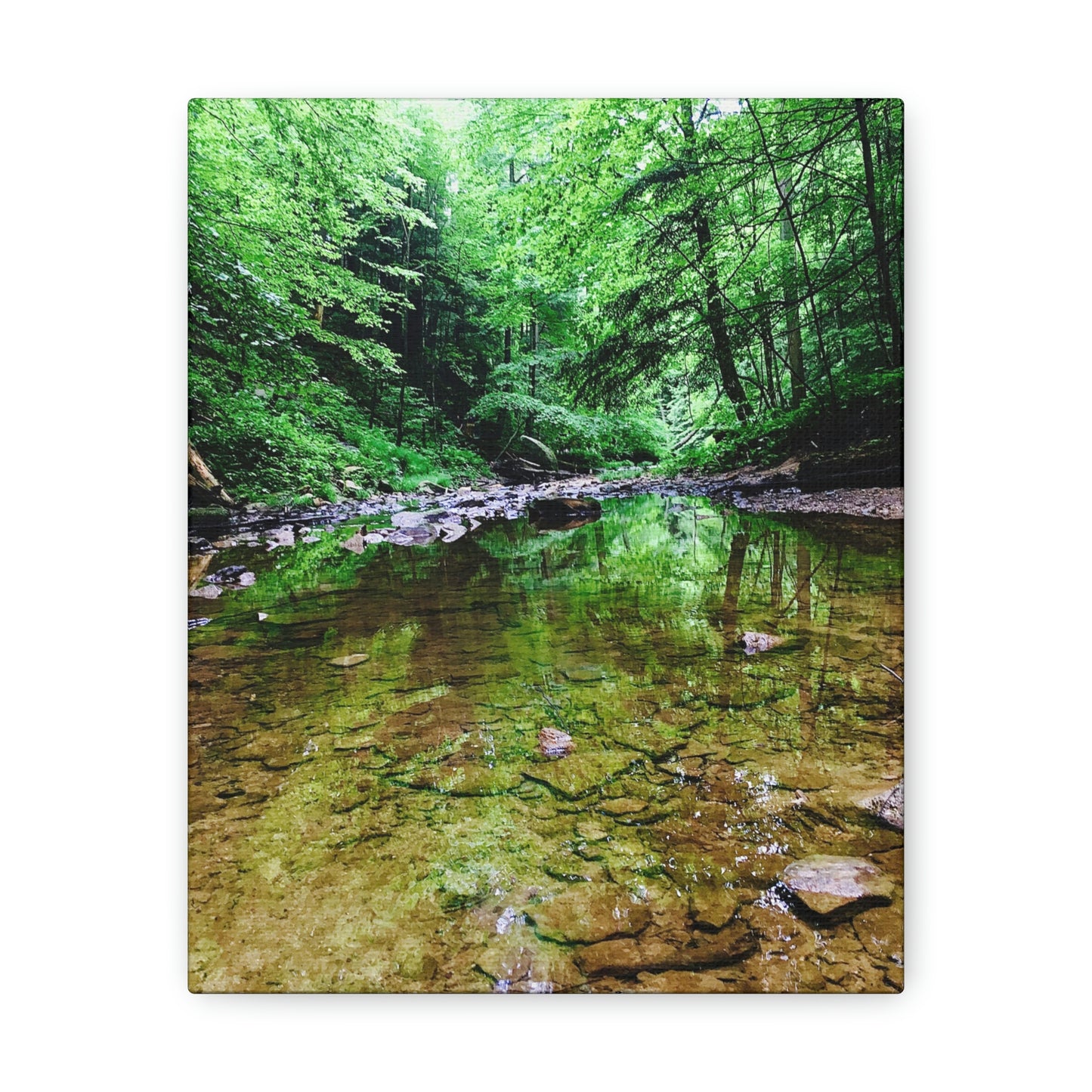 Forest Creek Bed, Nature Photography Canvas